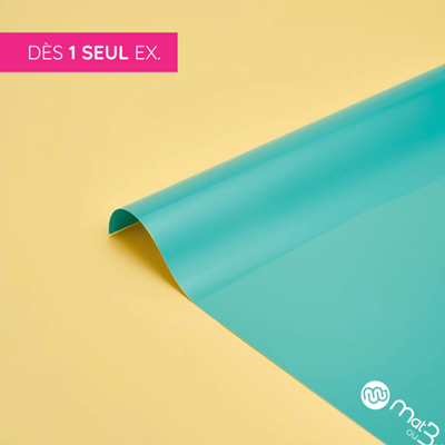 Affiches "dos bleu" 115 g. (sur mesure)