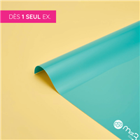 Affiches "dos bleu" 115 g. (sur mesure)