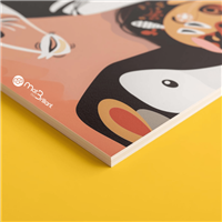 Panneau PVC 3 ou 5 mm.