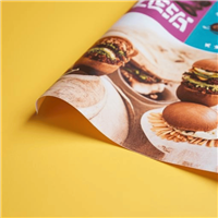 Bâche classique 550 g.