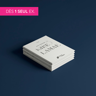 Livre roman, auto-édition